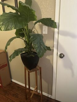 Artificial plant Includes stand
