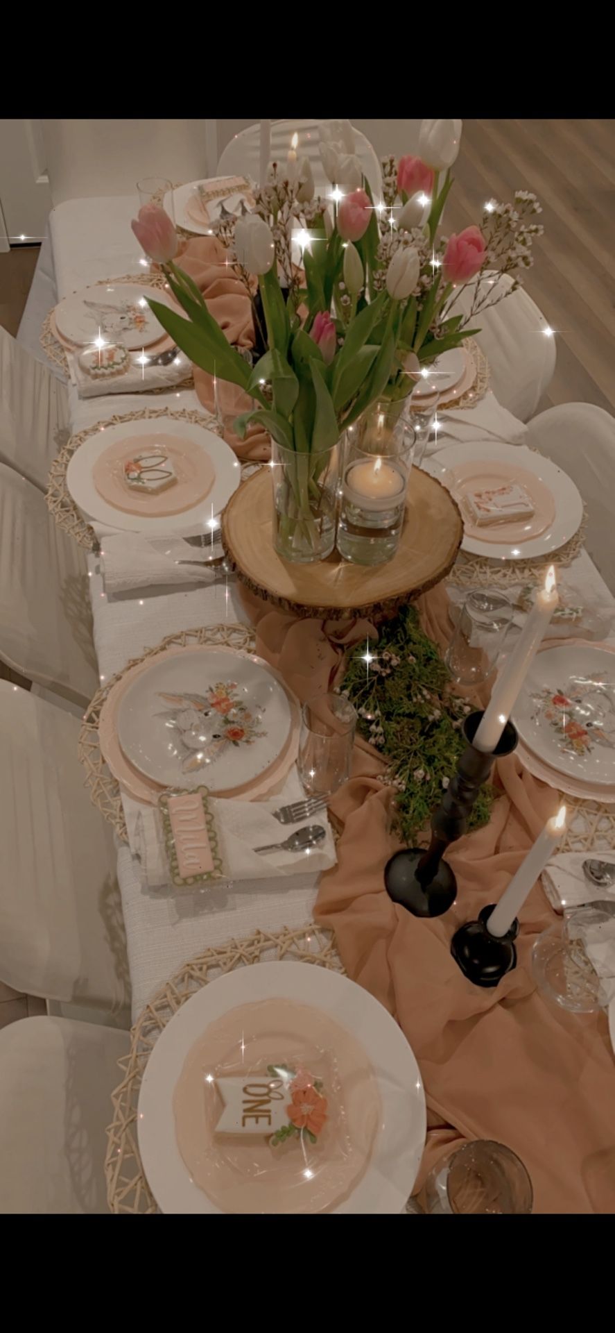 Sweet Bunny Plates Dining Plates