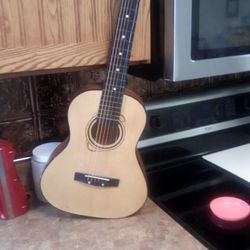 Guitar No Name Plays Need 1string 30.00