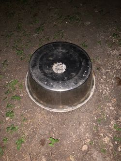 Stainless Steel Pet Water Bowl