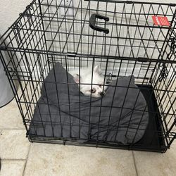Dog Cage