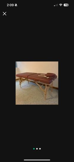 Oakworks Massage/spa Table