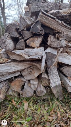 Firewood 