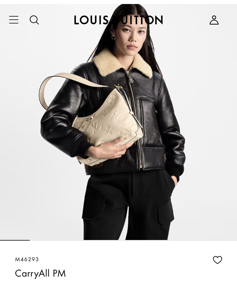 Louis Vuitton CarryAll PM Handbag ONLY $200