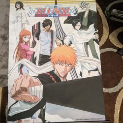 Bleach Anime Wall Scroll Official License