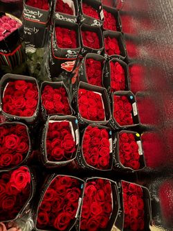 Roses Available