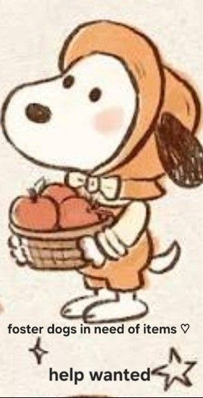 Foster Dogs In Need Of Toys And Items