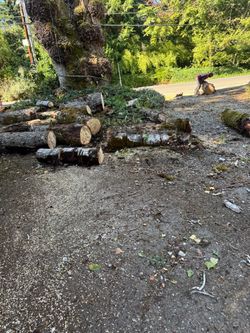 Free Firewood