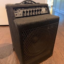 SWR Bass Guitar Combo Amplifier 