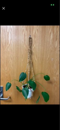 Hanging Pot Holder only