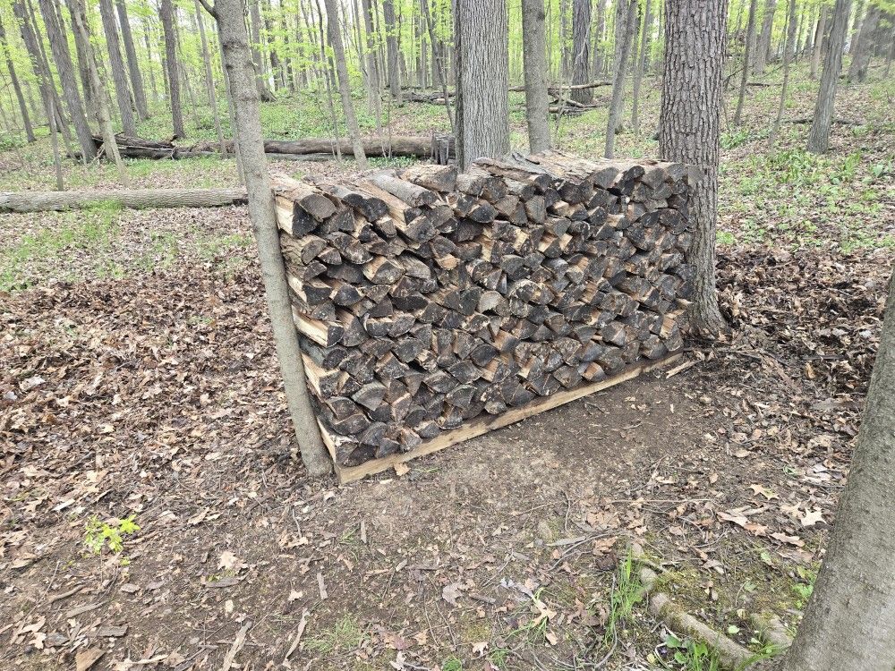 Firewood For Sale 