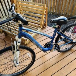 Blue Gateway Bike for Sale!