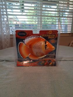 Pool Decor