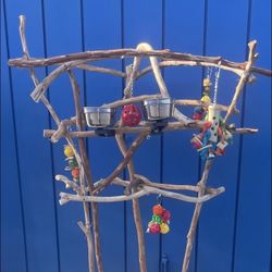 Parrot Perch Tree- Custom Made … Hard Durable Ribbon Wood 🪵! The Great Socializer For Mr Feathers ! 