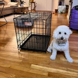 Collapsible Dog Crate & Cover (no Dog Included 😂)
