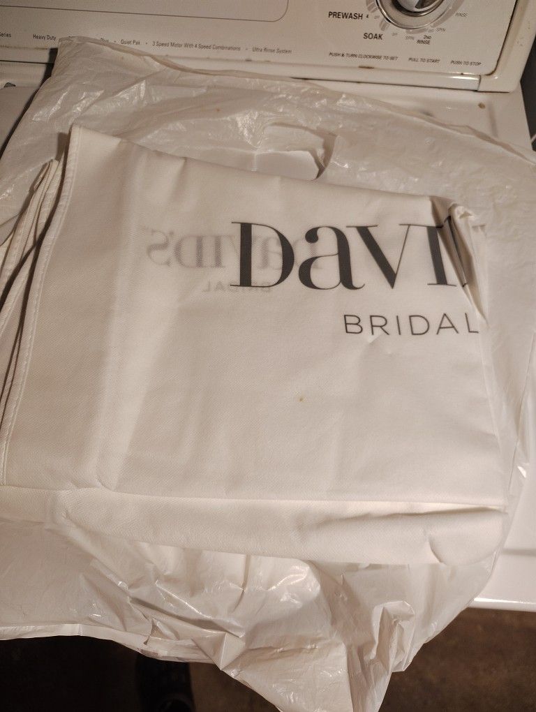 David's Bridal Bag