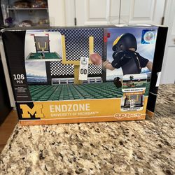 RARE Oyo End zone Michigan Wolverines