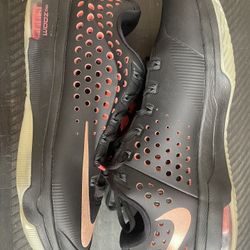 Kd 9 best sale rose