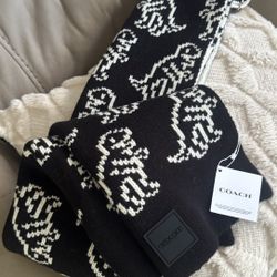 Coach Scarf 