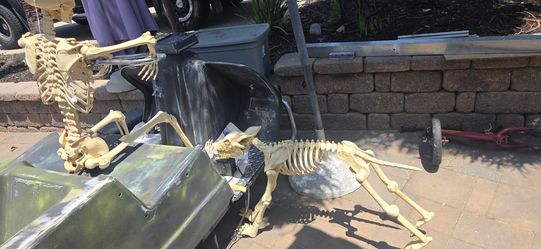 Halloween  decorations