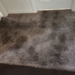 Carpet/C134N 