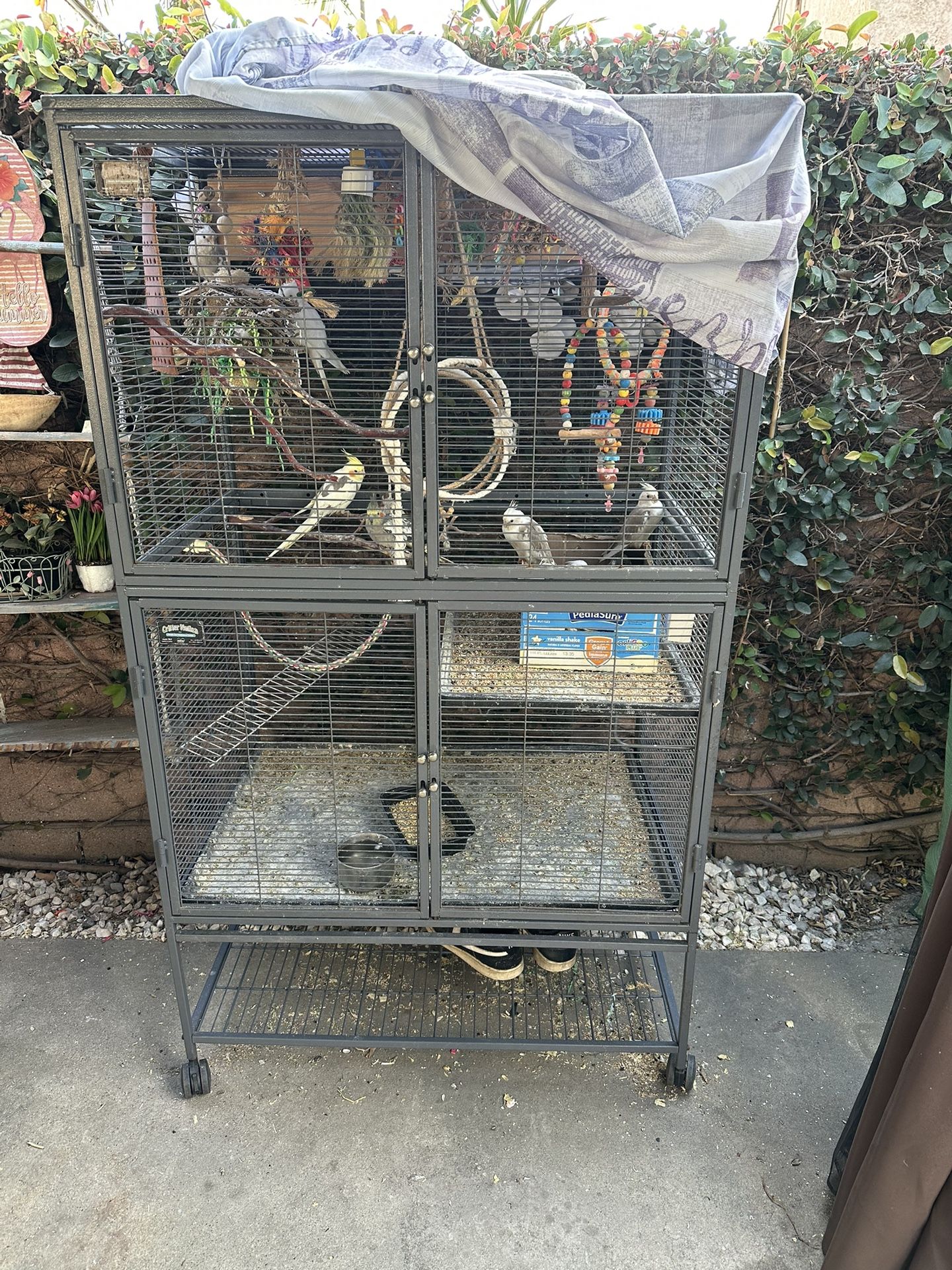 Jaula Para Pajaros