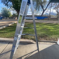 6 foot Werner ladder