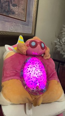 PAWS PILLOW PETS