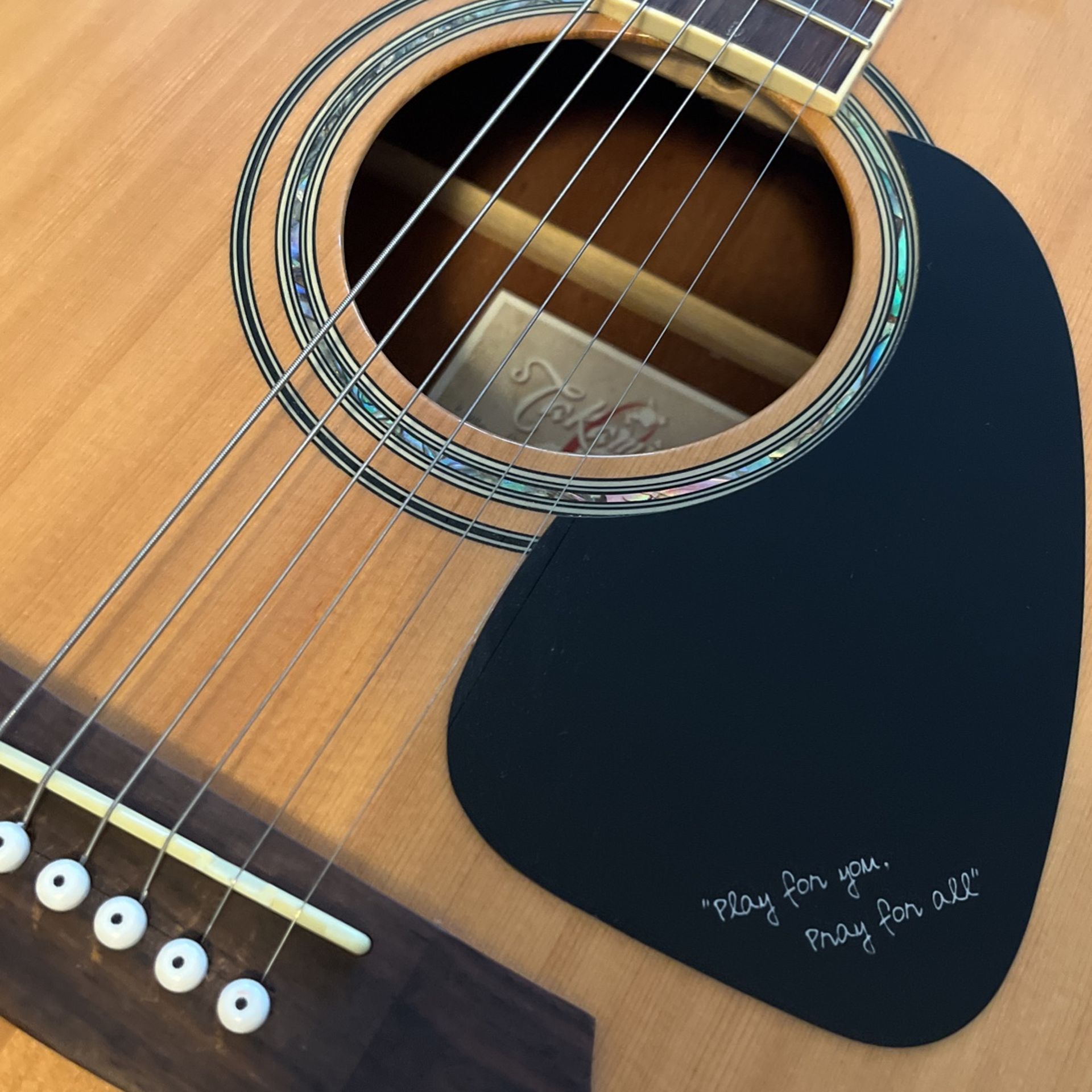 Takamine Acoustice Guitar - Limited Edition Japanese Tsunami Relief Edition - No Longer Sold Retail
