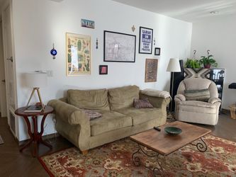 Sage green velour couch
