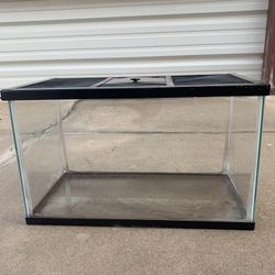 10 Gallon Tank With Screen Cover