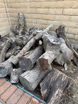Free Large Pile of Cut Firewood Logs