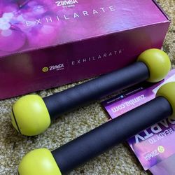 Zumba Fitness Workout Equipment/Cds