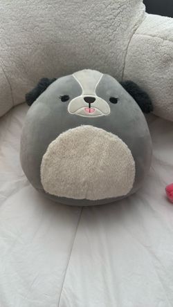 Malu Shih Tzu