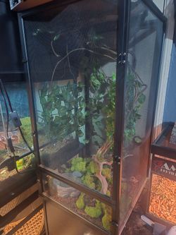 Screen Cage