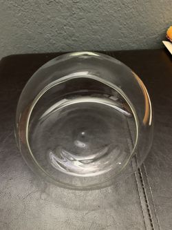 Terrarium
