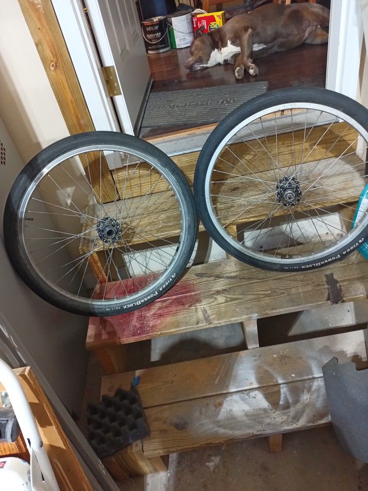 Bicycle Wheels With Tires