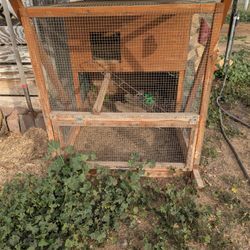 Chicken Coop 