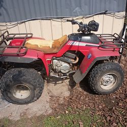Honda TRX 250