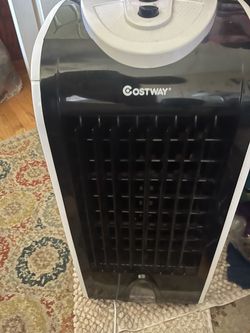Fan
