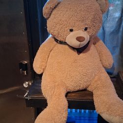 Large Stuffed Teddy Bear