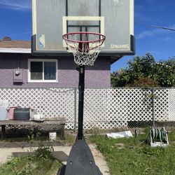 Spalding Acrylic Basketball Hoop