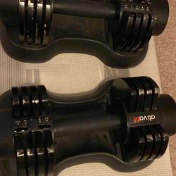 Adjuststable Dumbbells Set (25lb Each)