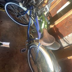 Beach Cruisers