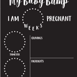 My Baby Bump Pregnancy Timeline Dry Erase Sign / 10" x 12"