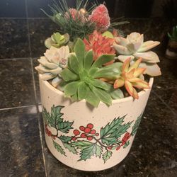 Christmas Succulent Pots