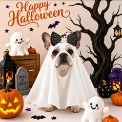 Halloween Ghost Pet Costume