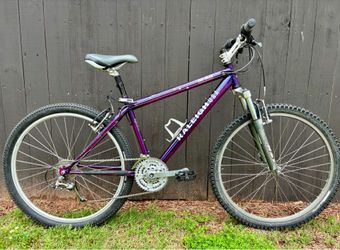 Raleigh mountain bike