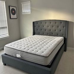 Sleek And Modern Design Frames All Sizes Available Single Full King Queen! Free Delivery