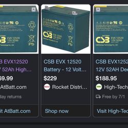 Brand new CSB EVX12520 sealed AGM deep-cycle batteries.